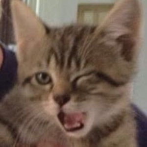 Meet your Posher, Beep